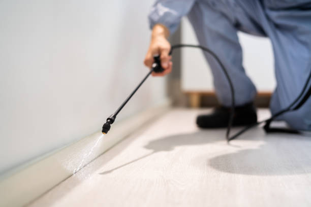 Licensed Pest Control service in Brea, CA - Show Me Pest Control