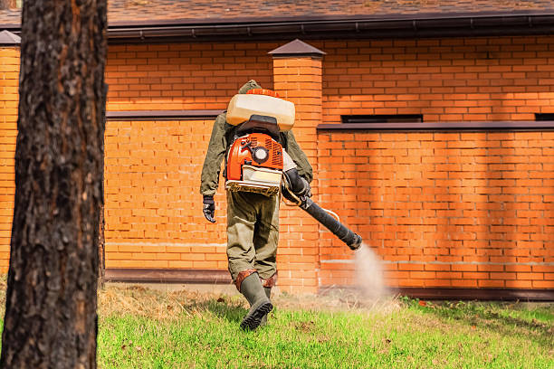 Bed Bug Clearance Verification and Documentation in Brea